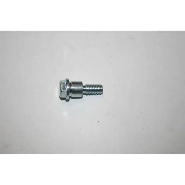 CF MOTO JETMAX 250 (EFI) EKSANTRIK ZINCIR GERGI CIVATASI #Y4CFM4000A0017