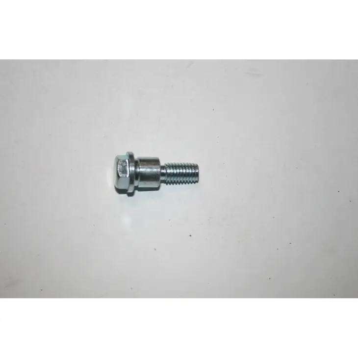 CF MOTO JETMAX 250 (EFI) EKSANTRIK ZINCIR GERGI CIVATASI #Y4CFM4000A0017