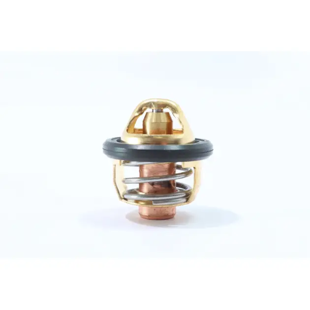 CF MOTO TERRALANDER 500 (4x4) (EFI) TERMOSTAT #Y4CFM4001A0060