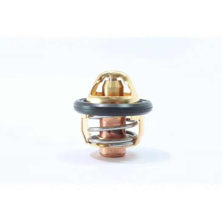 CF MOTO TERRALANDER 500 (4x4) (EFI) TERMOSTAT #Y4CFM4001A0060