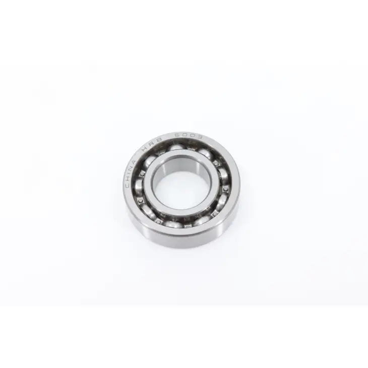 CF MOTO TERRALANDER 500 (4x4) (EFI) RULMAN 6003 #Y4CFM4001A0190