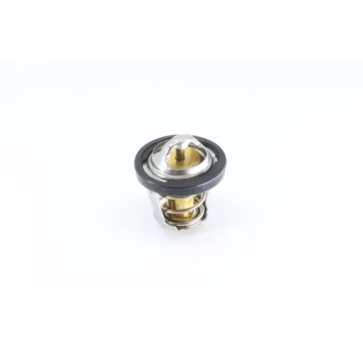 CF MOTO TERRALANDER 800 (4X4) (EFI) TERMOSTAT #Y4CFM4004A0076