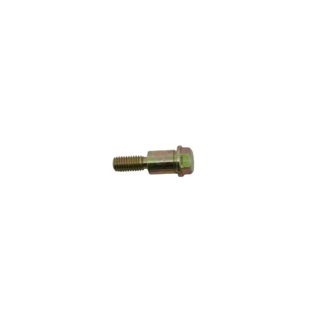 CF MOTO SD 650-S (EFI) EKSANTRIK ZINCIR GERGI CIVATASI #Y4CFM4006A0128