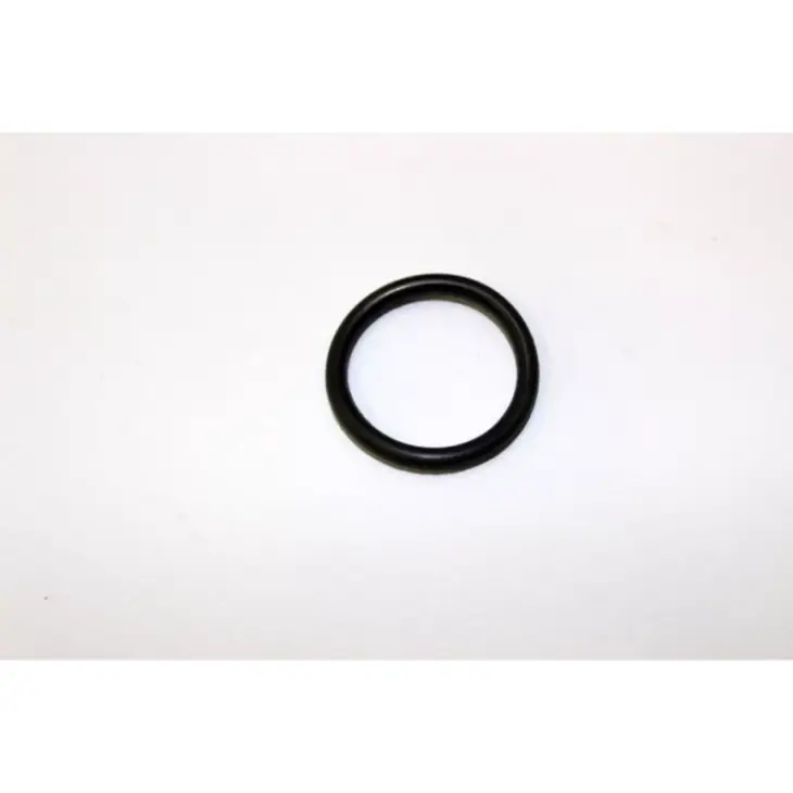 CF MOTO SD 650-S (EFI) O-RING 24.7x3.10 #Y4CFM4006A0217