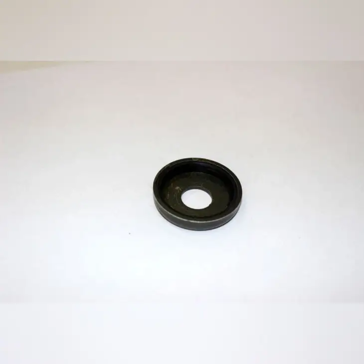 CF MOTO 250NK ARKA SALINCAK TOZ KAPAGI #Y4CFM4012A0066