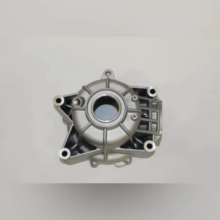 CF MOTO CFORCE 1000 DLX EPS ARKA DIFRANSIYEL GRUBU KUTUSU #Y4CFM4029A0251