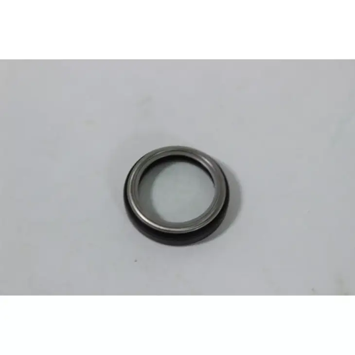 CF MOTO CF250-6 SR (EU 4) YAG SEVIYE KONTROL CAMI #Y4CFM4033A0012